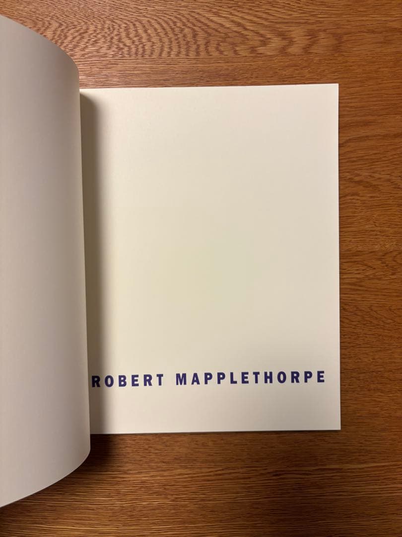 ROBERT MAPPLETHORPE EARLYWORKS - メルカリ