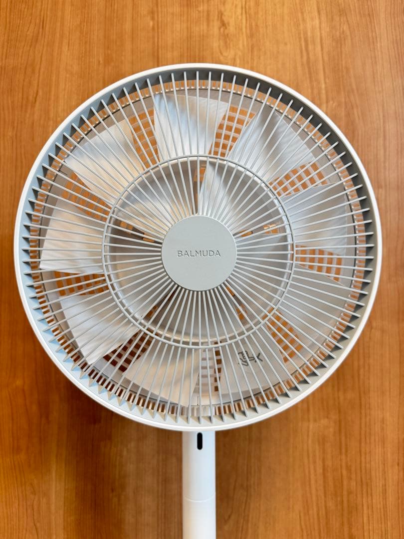 【極美品】BALMUDA バルミューダ The Green Fan 扇風機