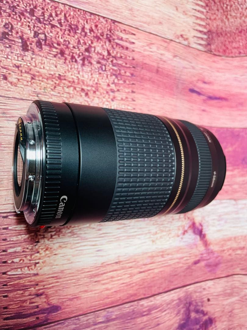 Canon キャノン EF 75-300mm 1:4-5.6 Ⅱ