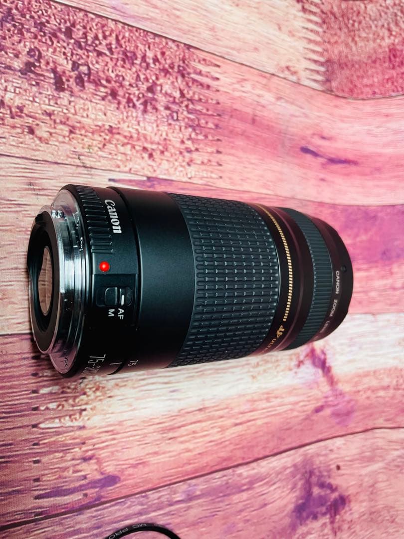 Canon キャノン EF 75-300mm 1:4-5.6 Ⅱ