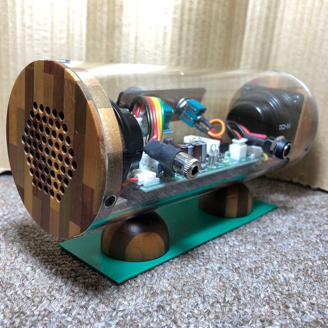 M’s System SK0815 波動スピーカー アンプ内蔵 スケルトンモデル