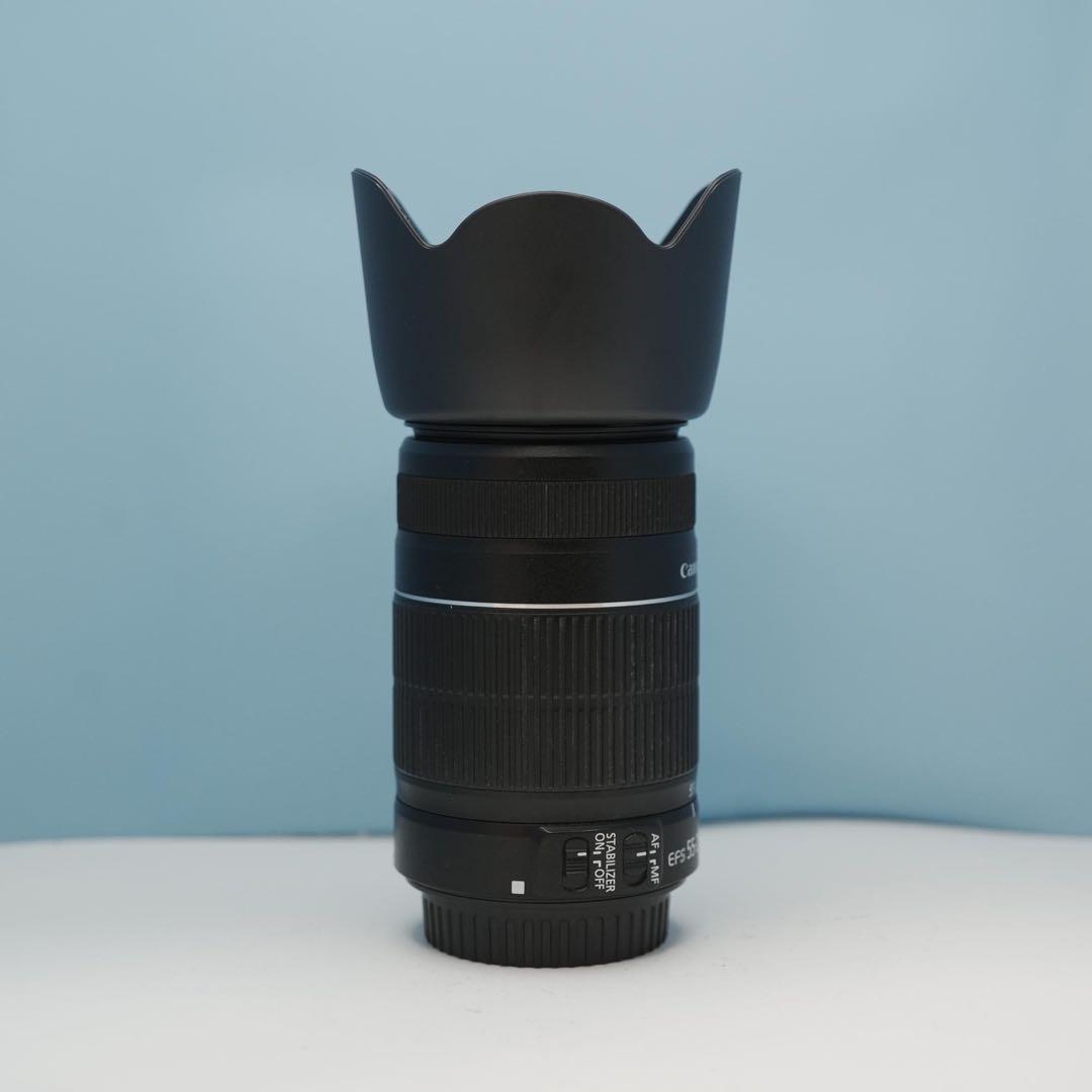 Canon純正 55-250mm 望遠レンズ a4098