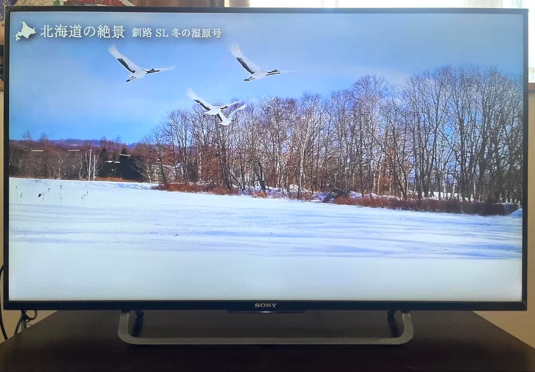SONY BRAVIA 液晶テレビ 43V型 KJ-43X8500C