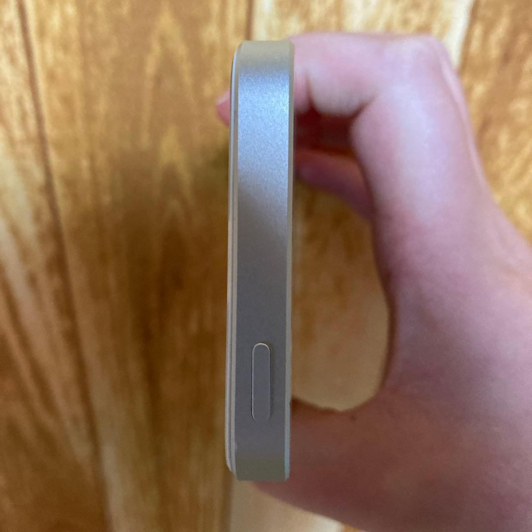 iPhone SE ￼最大容量￼100% ￼