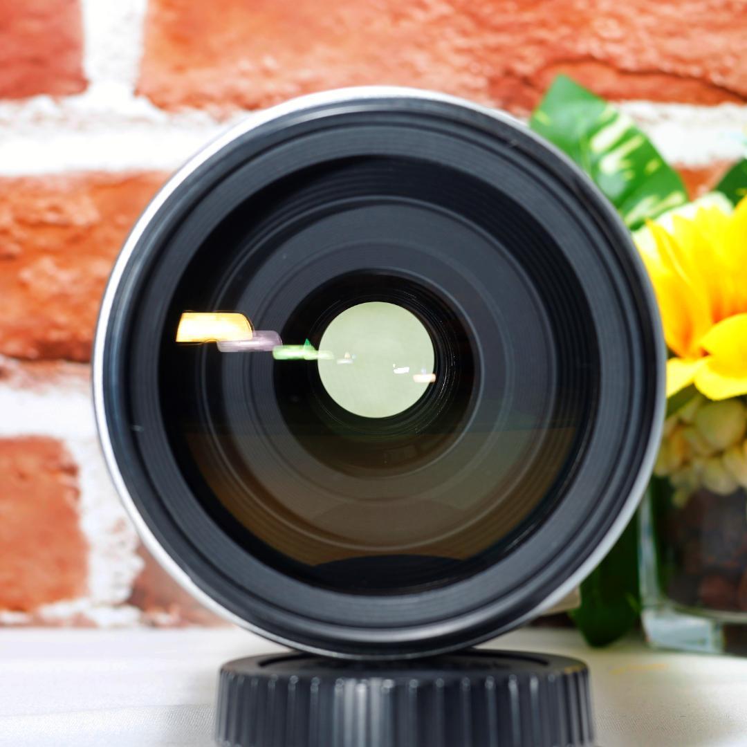 超望遠 Canon EF 100-400mm F4.5-5.6 L IS USM