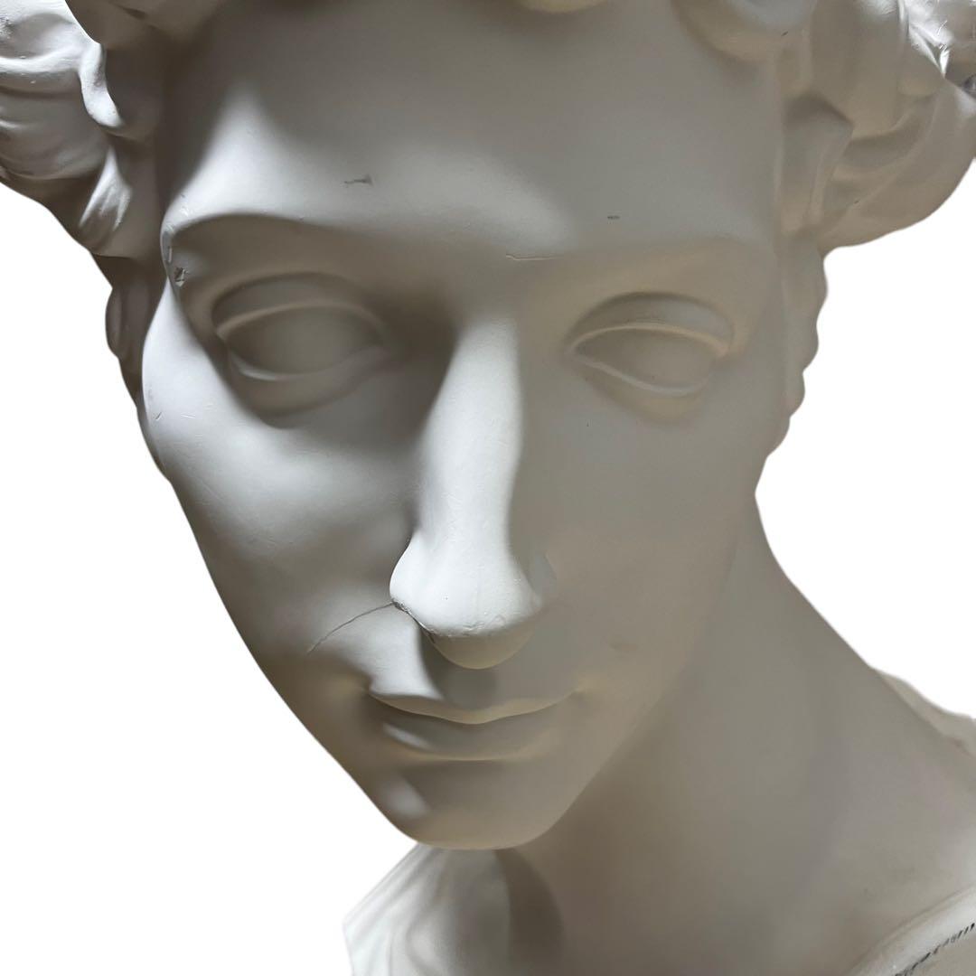 石膏 石膏像 デッサン メディチ 胸像 ダビデ像 古代ギリシャ