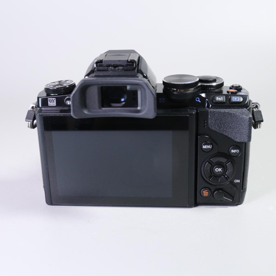 ☆特別限定モデル☆新品級 OLYMPUS OM-D E-M10 ＃355