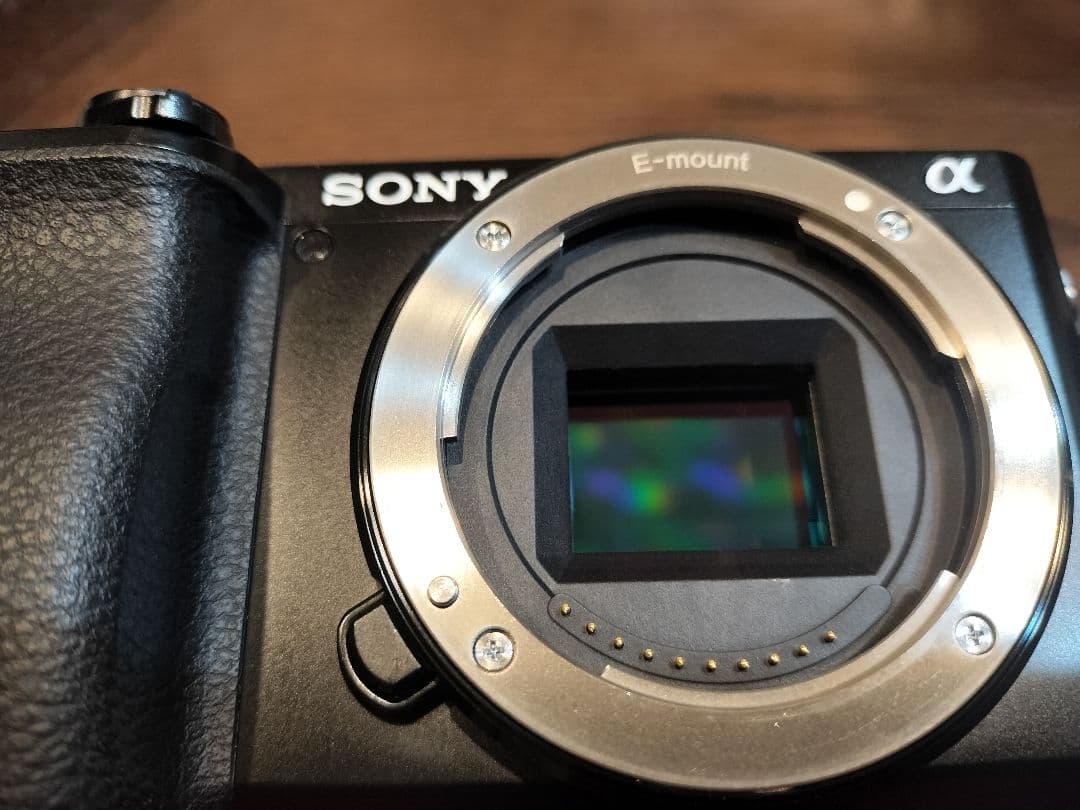 や*い様 SONY α6100 ミラーレス一眼カメラ ダブルズームキット 展示品
