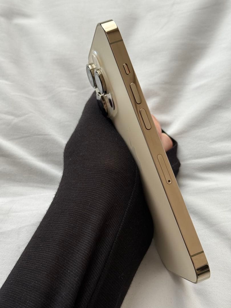 Apple iPhone 14 Pro ゴールド 1TB 充電ケーブル付き