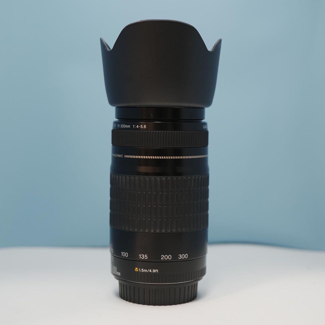 Canon純正 75-300mm 望遠レンズ 美品 a4331