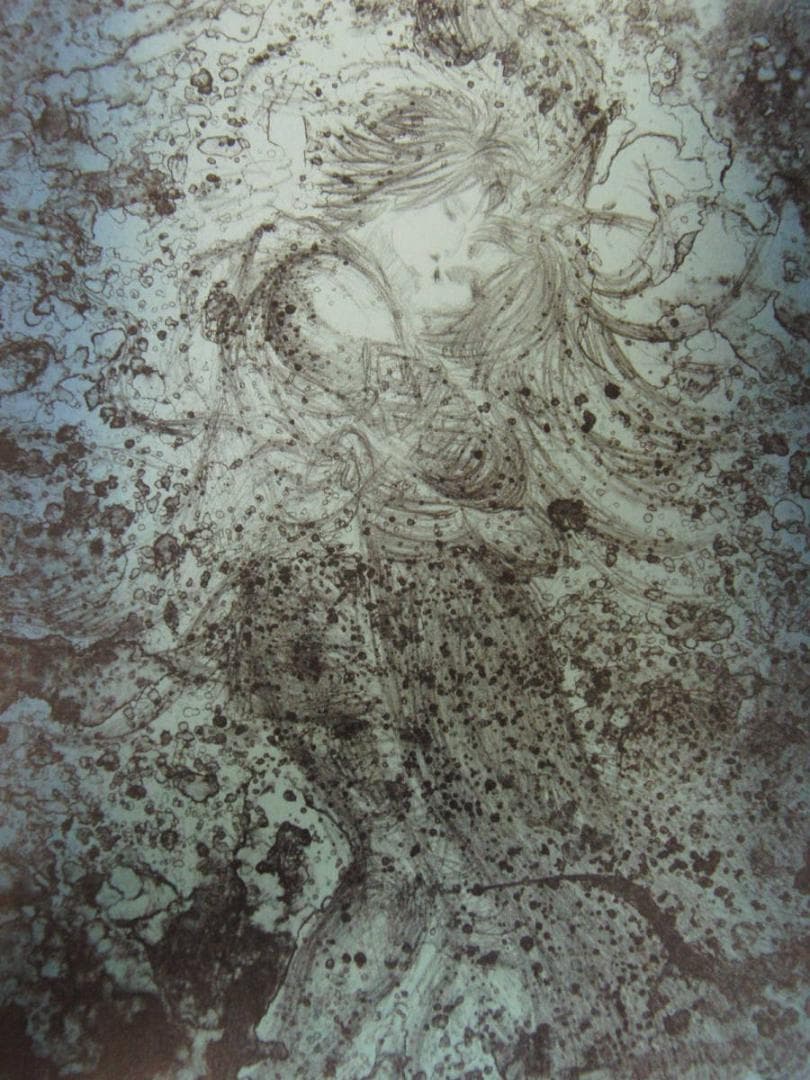 天野喜孝、【水夢】、希少な額装用画集より、状態良好、新品額装付