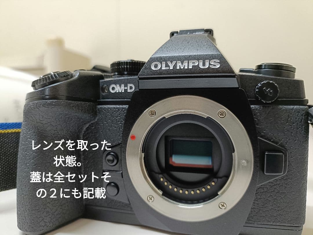【美品2638回】OLYMPUS OM-D E-M1 ミラーレス一眼カメラ