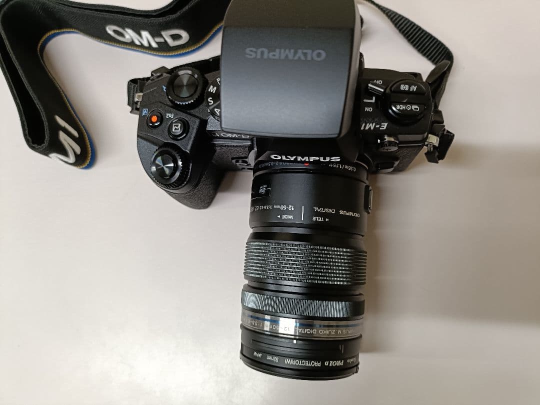 【美品2638回】OLYMPUS OM-D E-M1 ミラーレス一眼カメラ