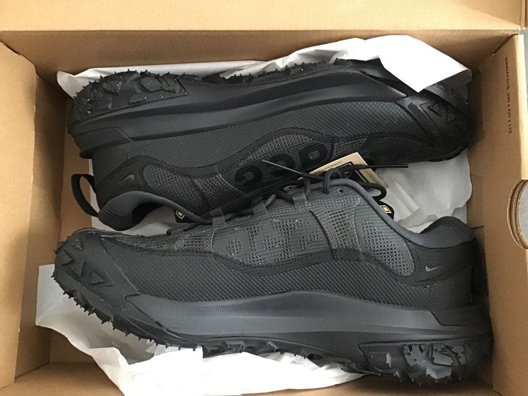 靴 ACG Mountain Fly 2 Low GTX black 26.5cm