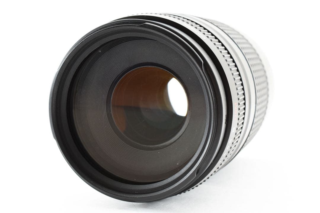 Canon EF 75-300mm F4-5.6 Ⅲ USMズームレンズ