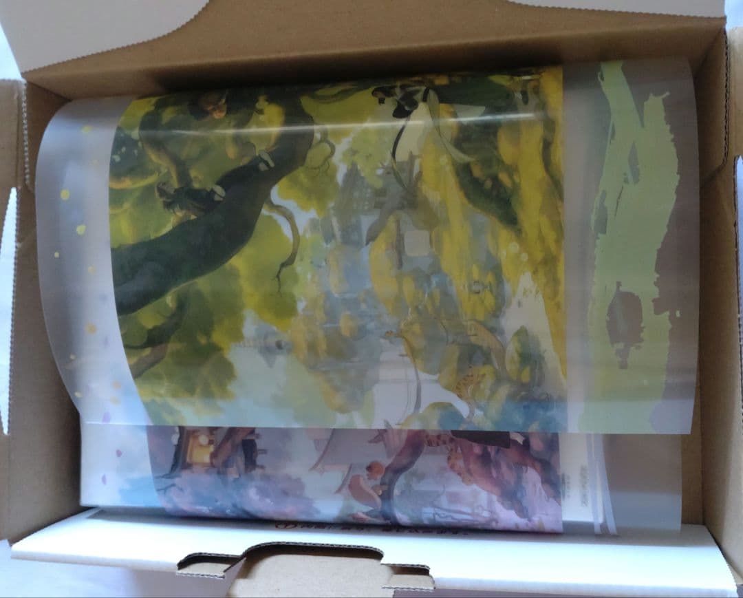 羅小黒戦記 ぼくが選ぶ未来('19中国)〈完全生産限定版〉