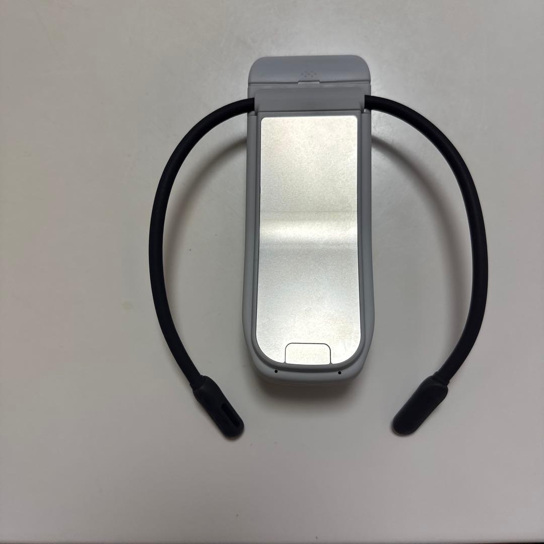 ソニーレオンポケットプロ