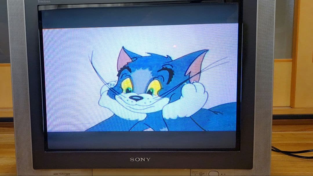 SONY Trinitron トリニトロンkv-25da55ソニーベガ