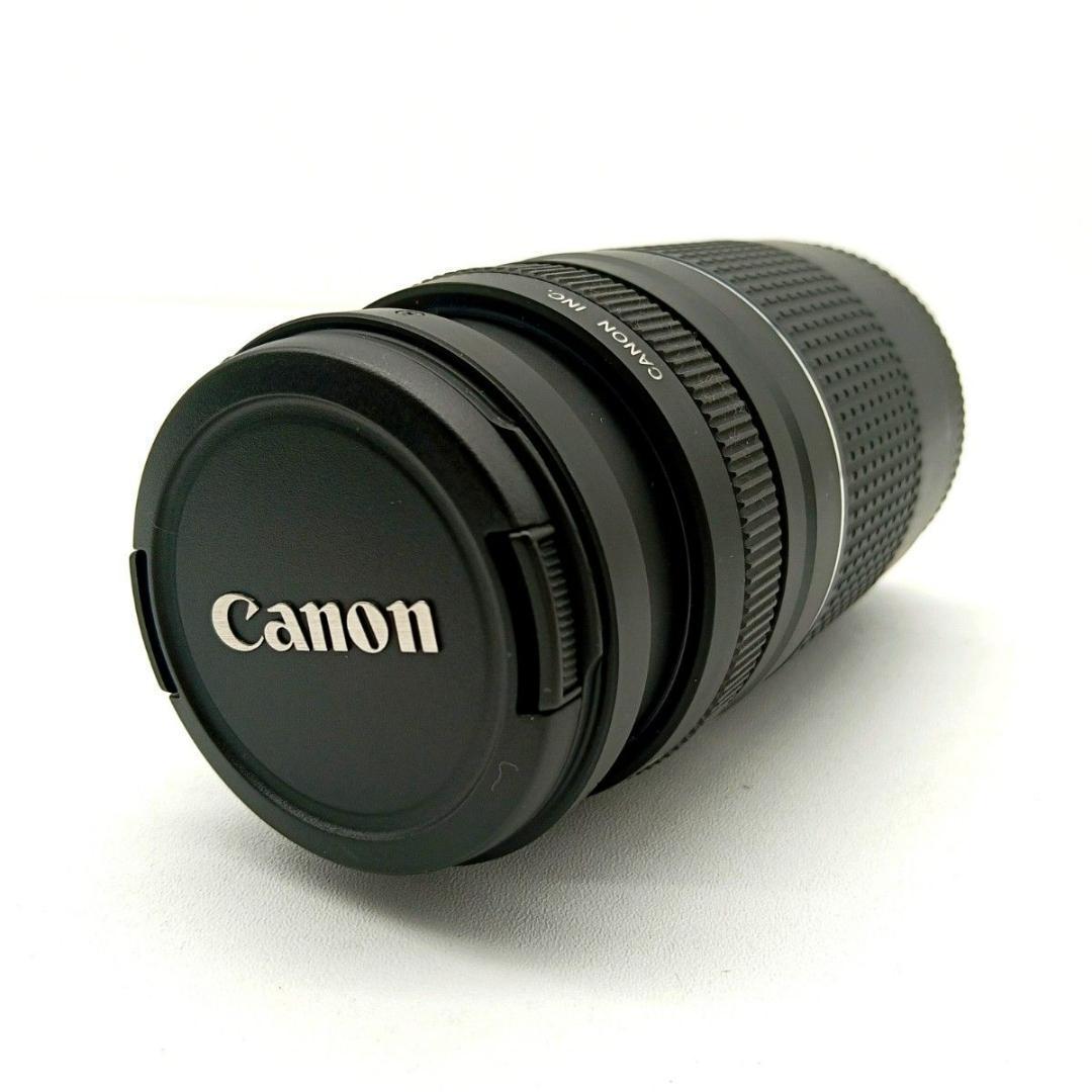 Canon 望遠レンズ EF 75-300mm F4-5.6 Ⅲ キャノン