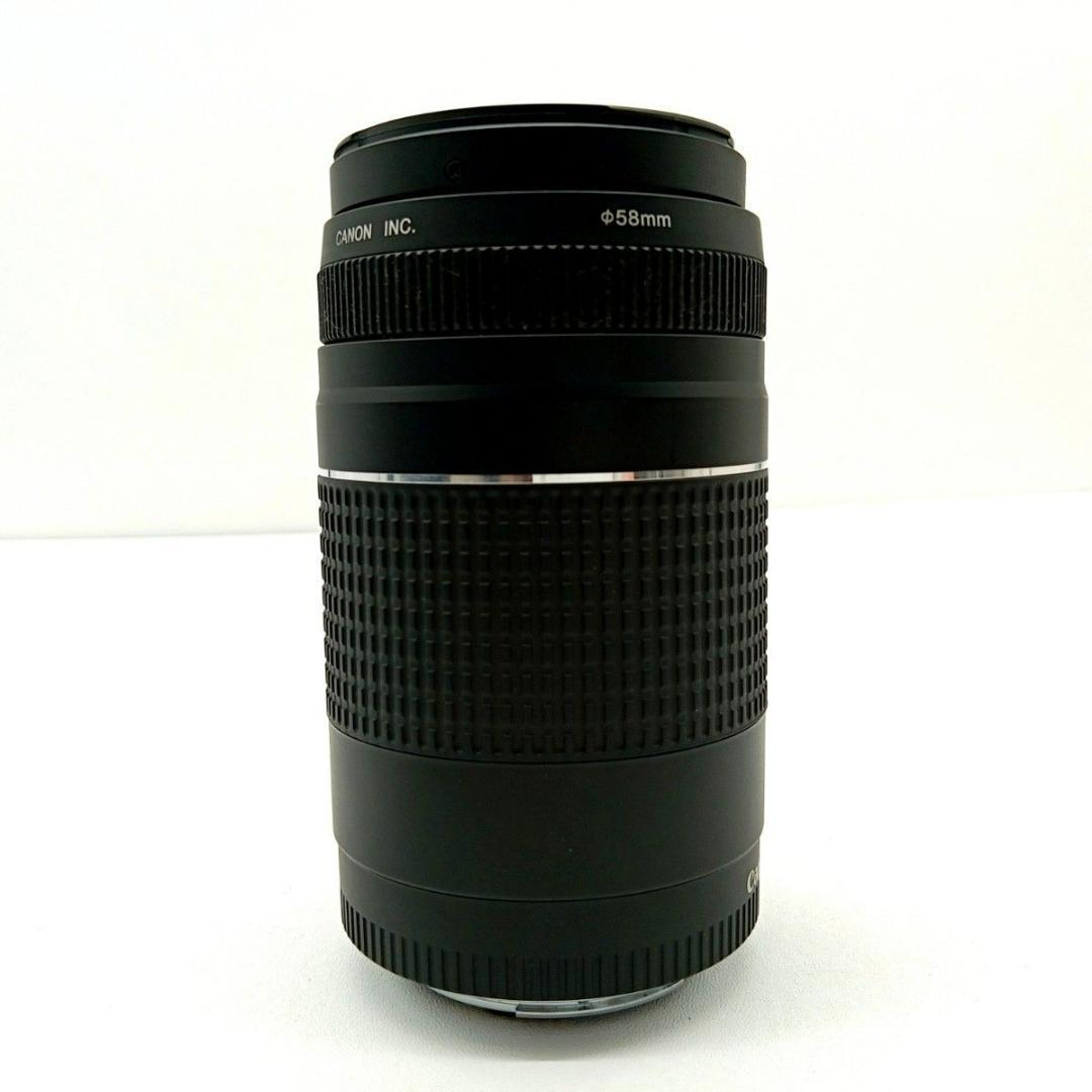 Canon 望遠レンズ EF 75-300mm F4-5.6 Ⅲ キャノン