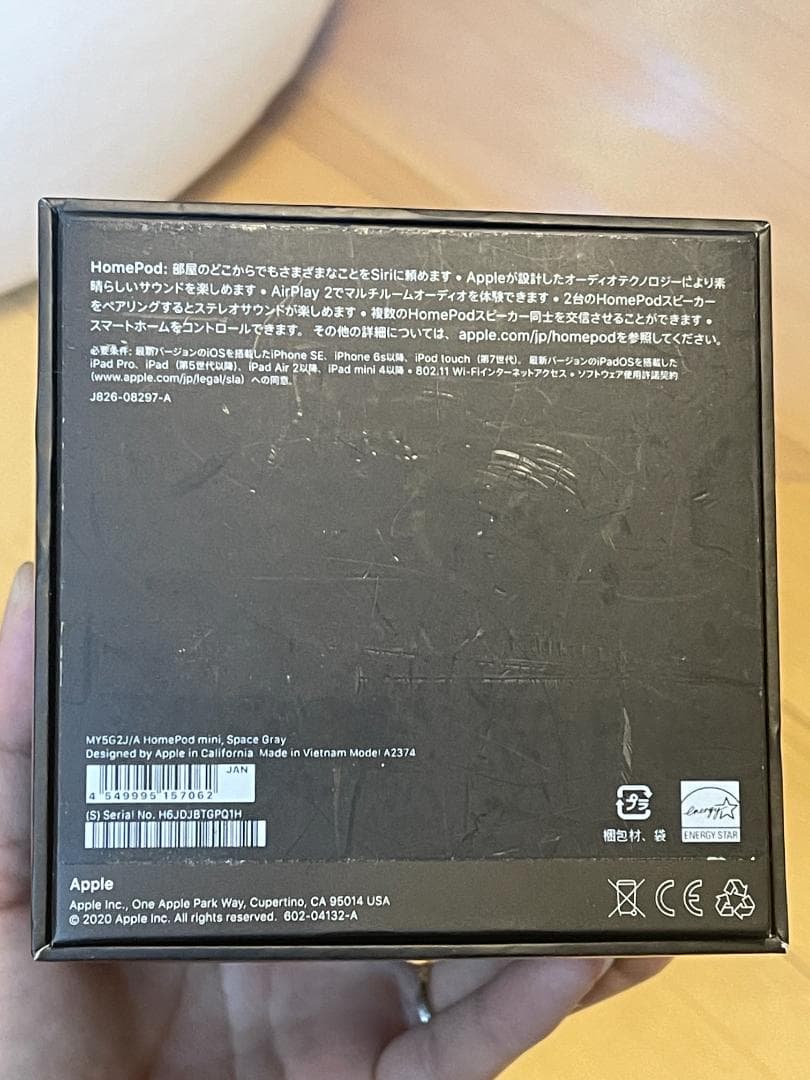 Apple Pod mini スペースグレイ 動作確認済み