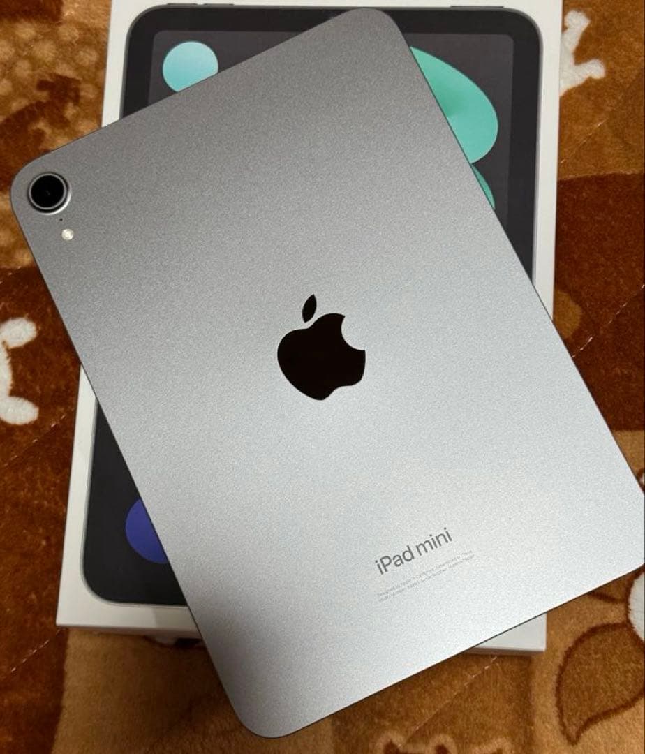 iPad mini7 スペースグレイ 128GB wi-fi版　純正ケース付