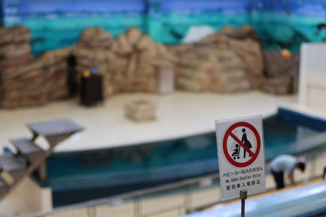 レンズ(単焦点) canon RF35mm F1.8 MACRO IS STM