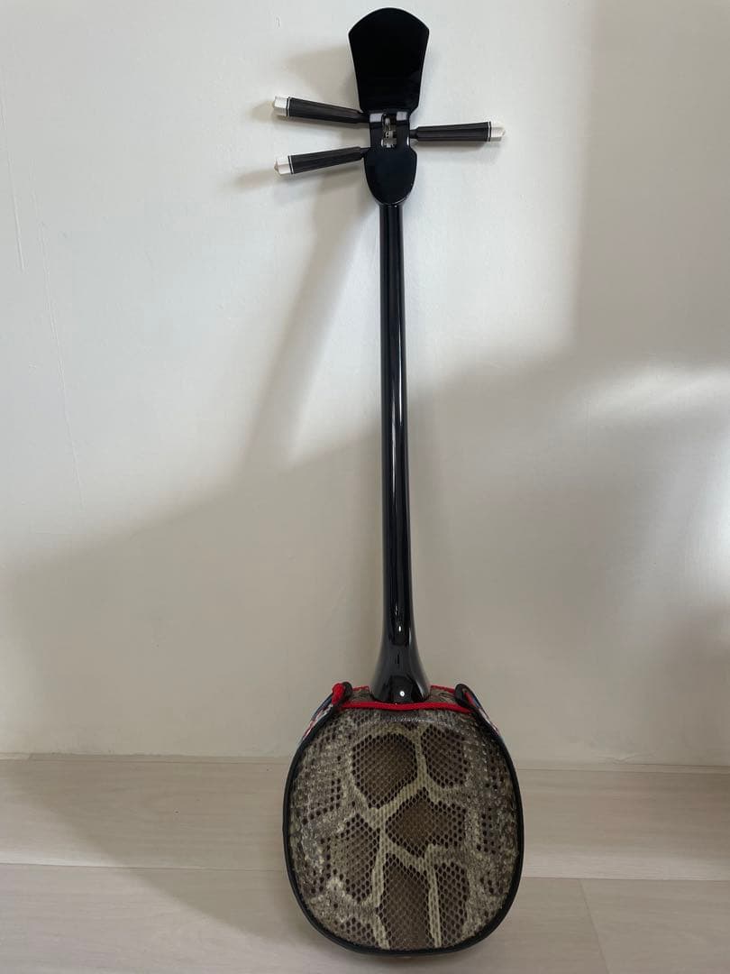 本蛇革】三線&入門本2冊 - メルカリ