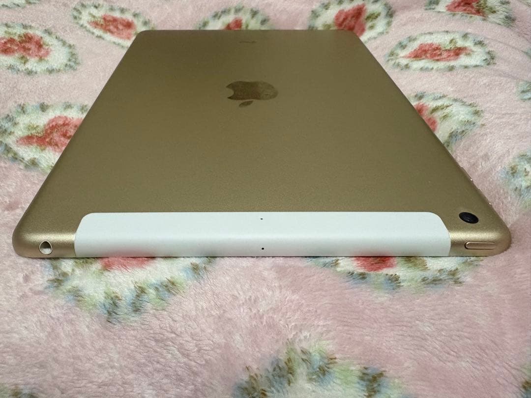 【最終値下早い者勝ち】Apple iPad 第5世代 ゴールド 32GB