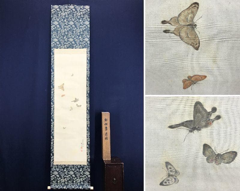 真作/田中梧堂/胡蝶舞遊図/蝶図/花鳥図/掛軸/名家伝来/AD-954 徳島藩御用絵師・渡辺広輝の新たな屏風 華麗な花鳥図、極彩色の大画面