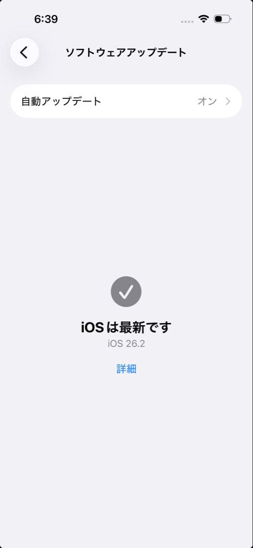 Apple iPhone 15 Pro シルバー 本体 256gb