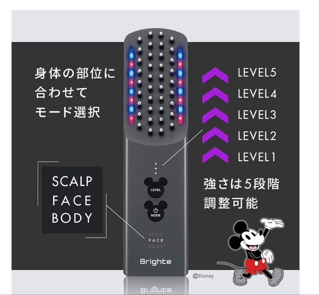 エレキブラシプラス ミッキー