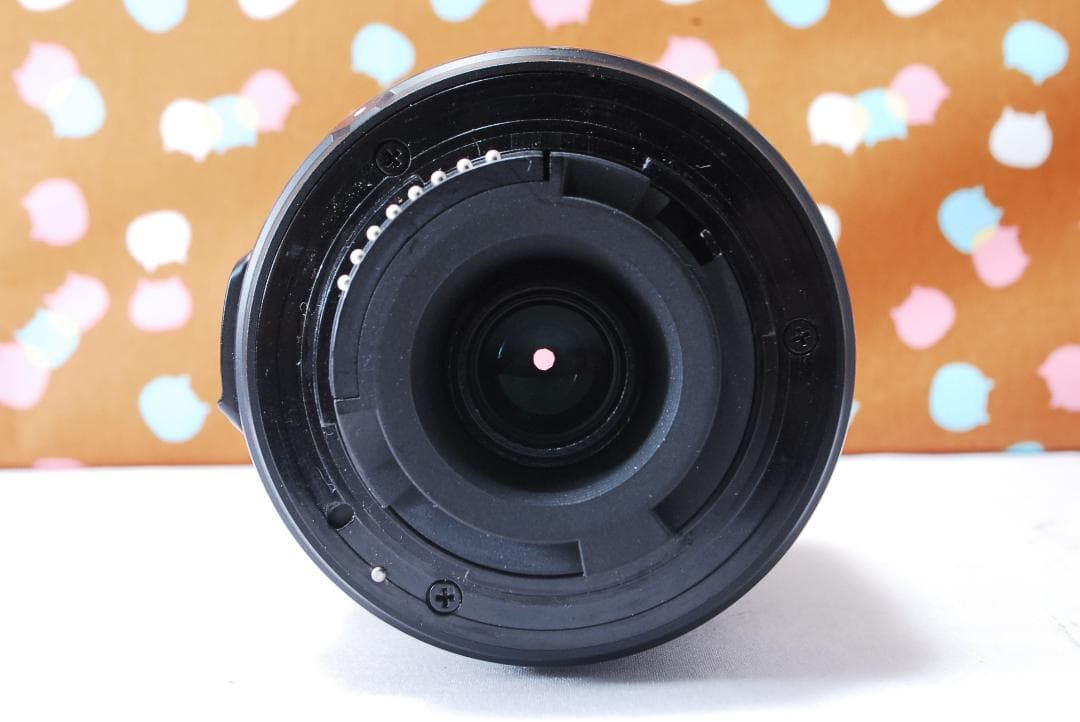 ✨ショット回数1978回✨望遠レンズセット✨Nikon D90 レンズセット