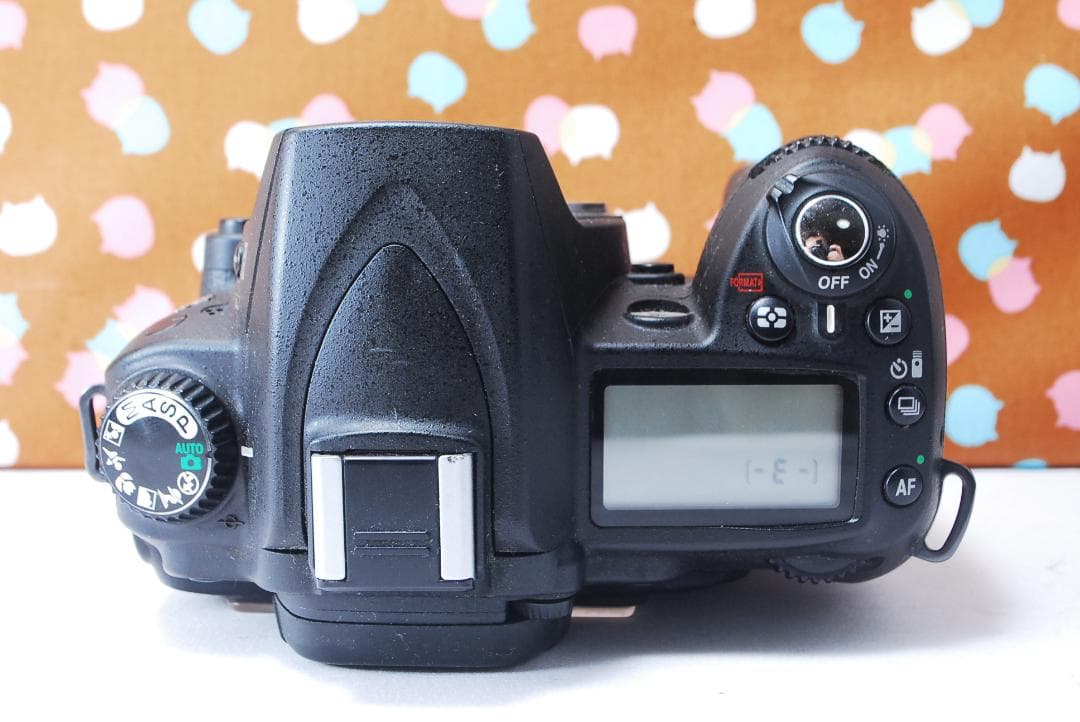 ✨ショット回数1978回✨望遠レンズセット✨Nikon D90 レンズセット