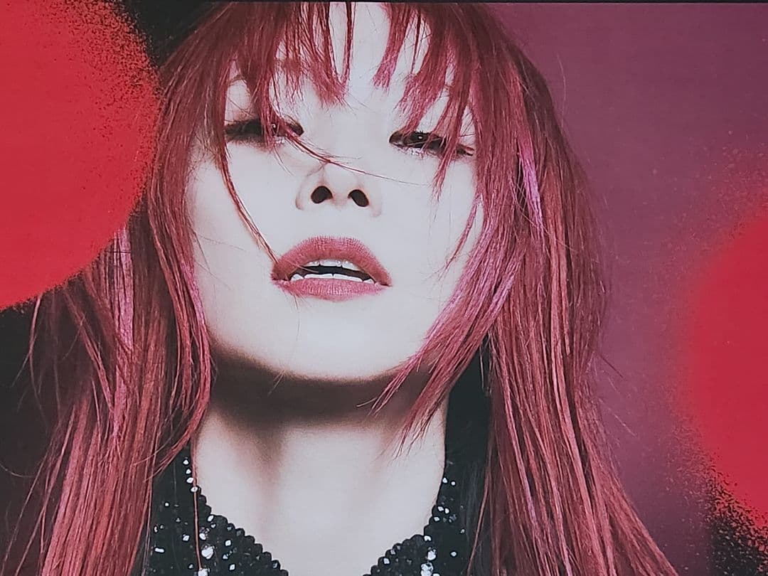 LiSA】 LADYBUG 直筆サイン入りポスター - メルカリ