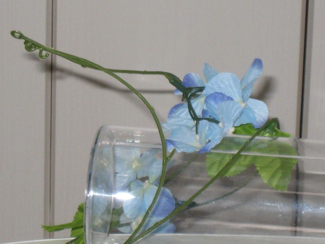 Canon カメラ　IXY 900IS PC1209 充電器 コンデジ　動作品