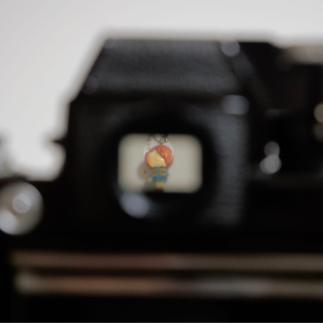 フィルムカメラ Nikon F2 Photomic DP-1 + Nikkor 50mm F2