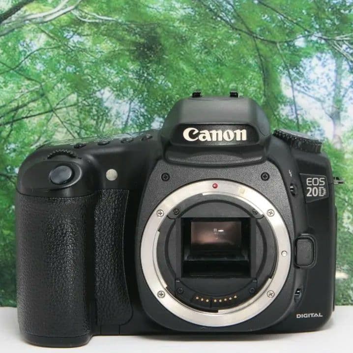 ❤️美品♪Canon EOS20D☆wifiSDでスマホ転送OK♪付属品多数❤️