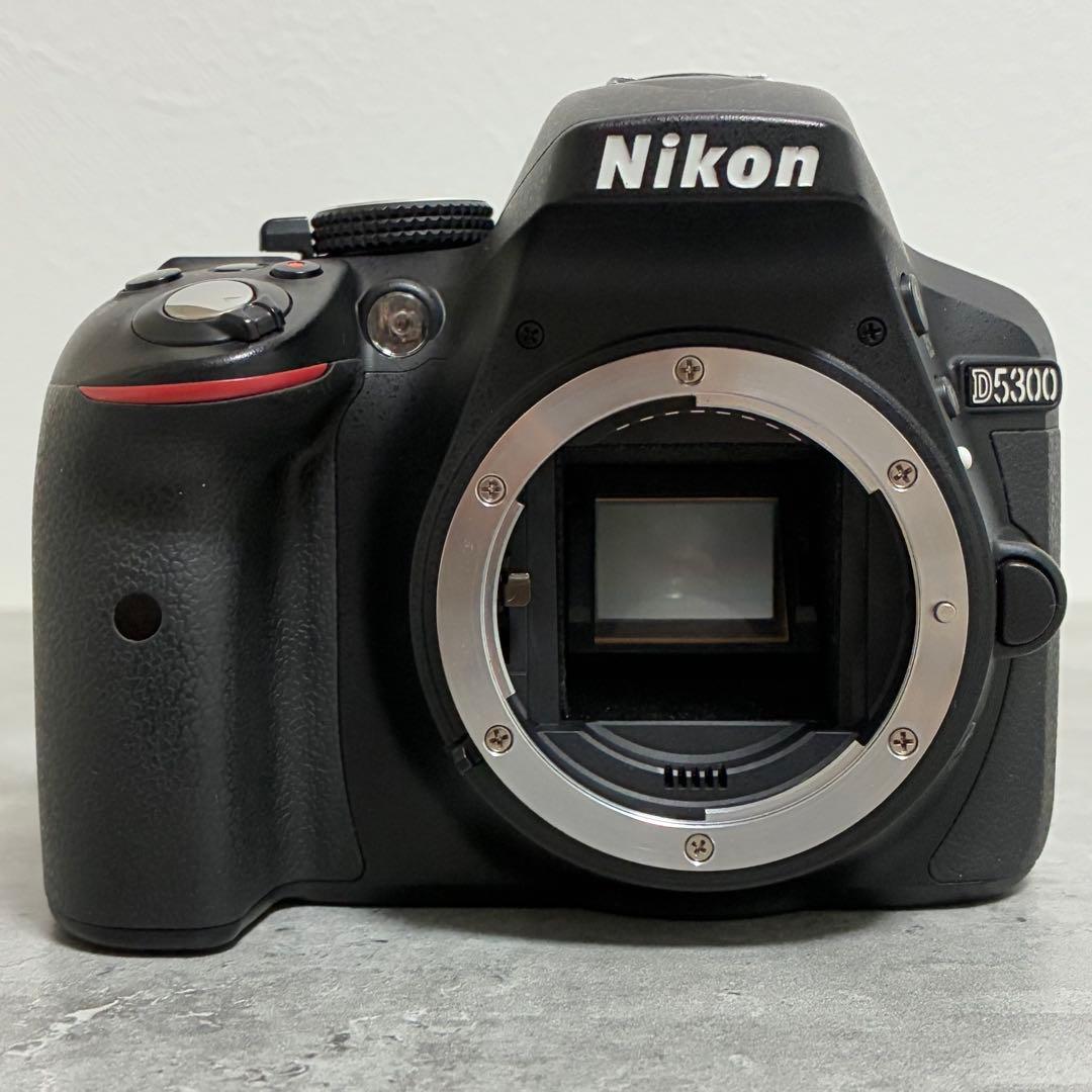 ⭐️美品⭐️ニコン Nikon D5300 & ダブルズームレンズキット