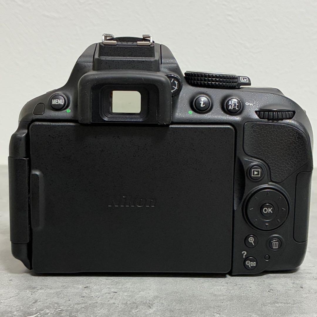 ⭐️美品⭐️ニコン Nikon D5300 & ダブルズームレンズキット