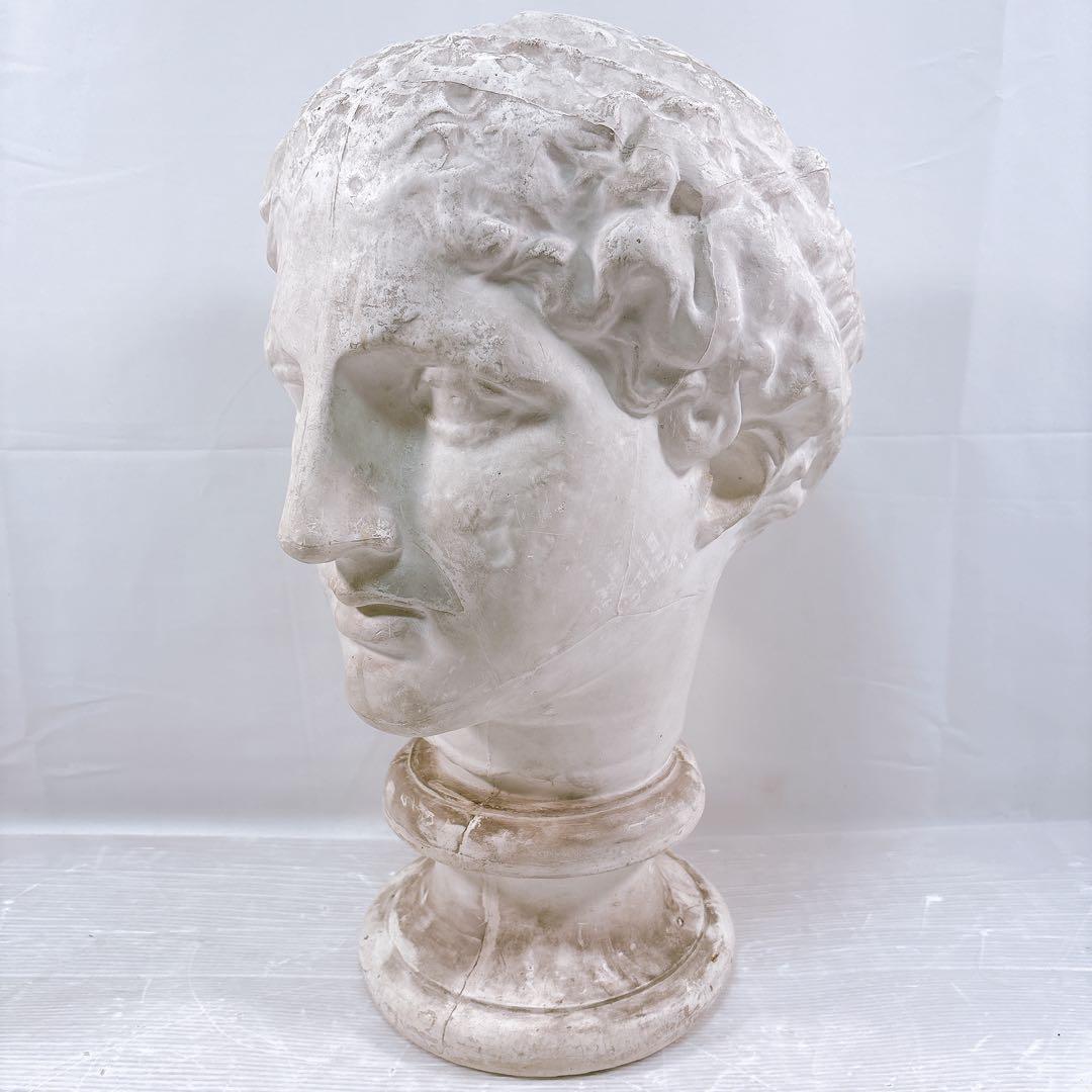 ラボルト パルテノン 首像 特大 石膏像 デッサン 西洋 練習用 - メルカリ