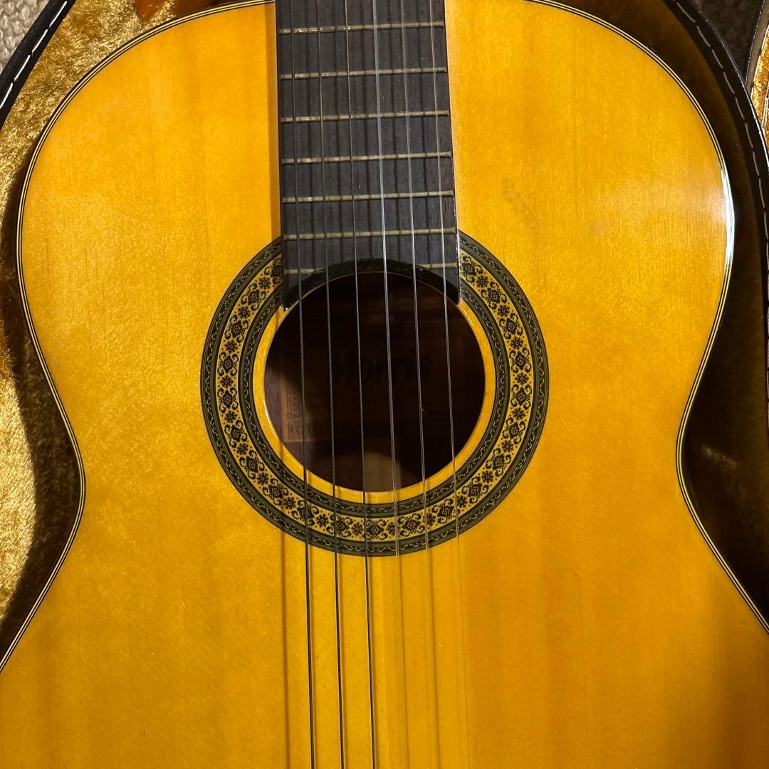 Morris (モーリス) M-25アコースティックギター Morris