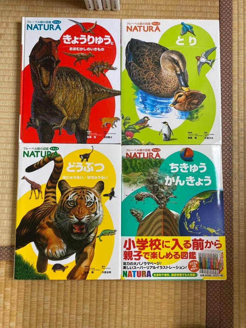 フレーベル館の図鑑 12冊セット - メルカリ