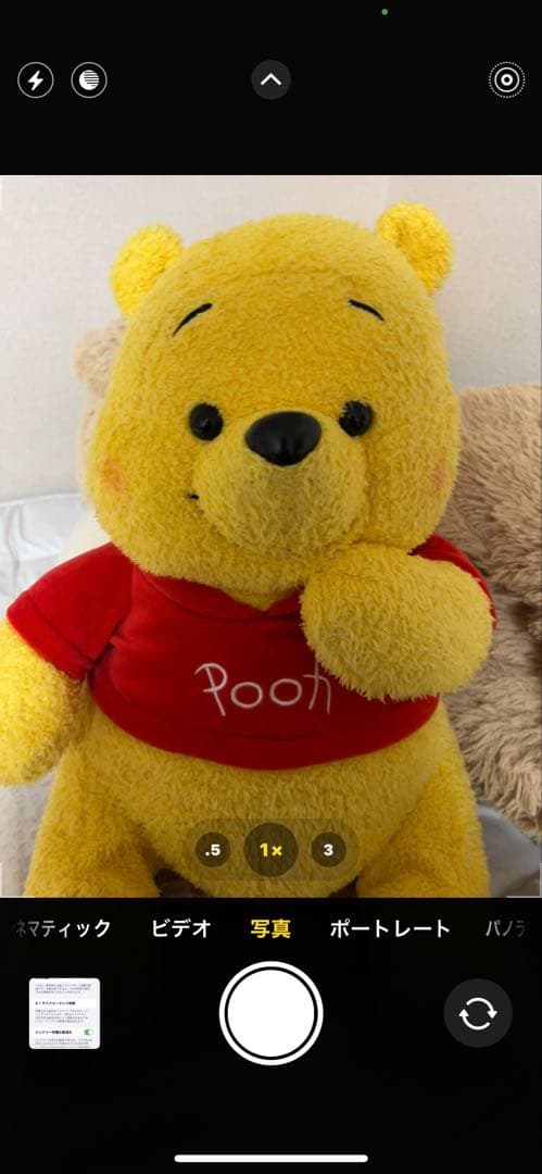 Apple iPhone 13 Pro Maxゴールド+AppleCare