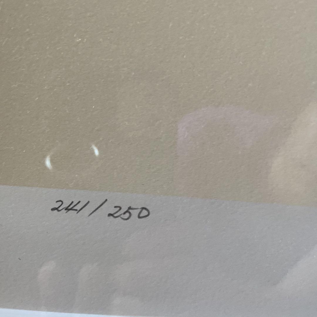 天野喜孝 アールビバン リトグラフ 菊地秀行 吸血鬼ハンター＂D＂『華