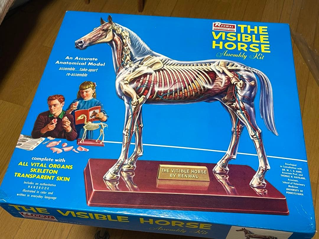 次*郎様 HGジェガンバーナム所属仕様(ジャンク品)