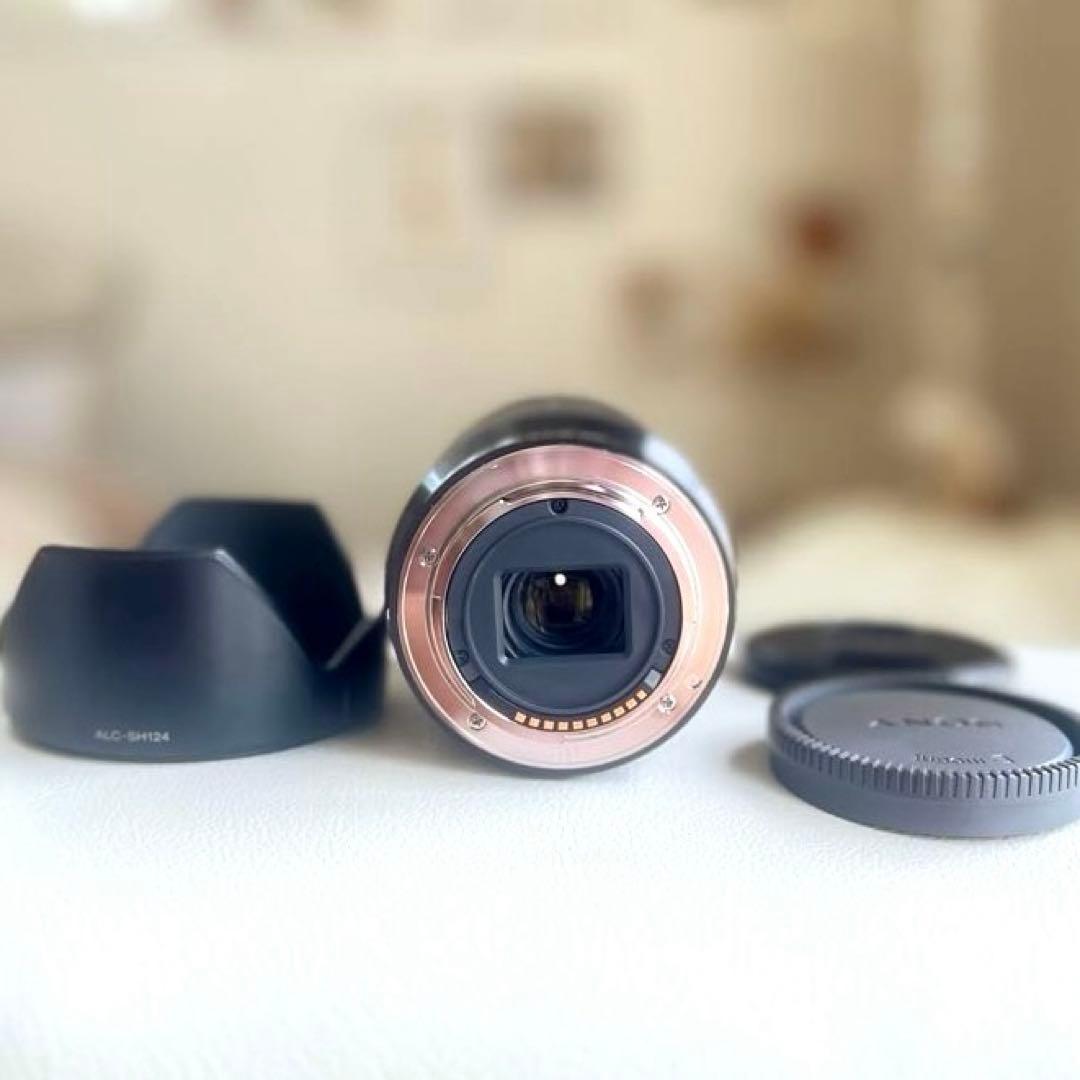 レンズ(ズーム) SONY18-200mm F3.5-6.3 OSS LE SEL18200 LE