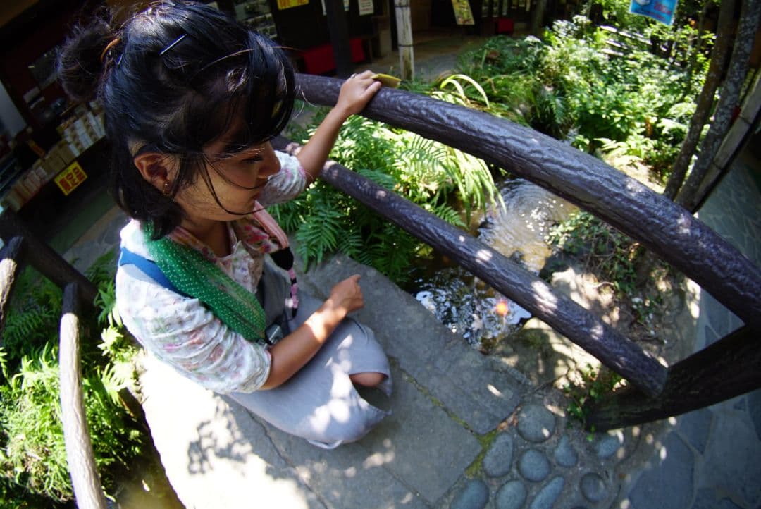 SONY　Eマウント対応の魚眼レンズ！別名【フィッシュアイレンズ】！迫力！！