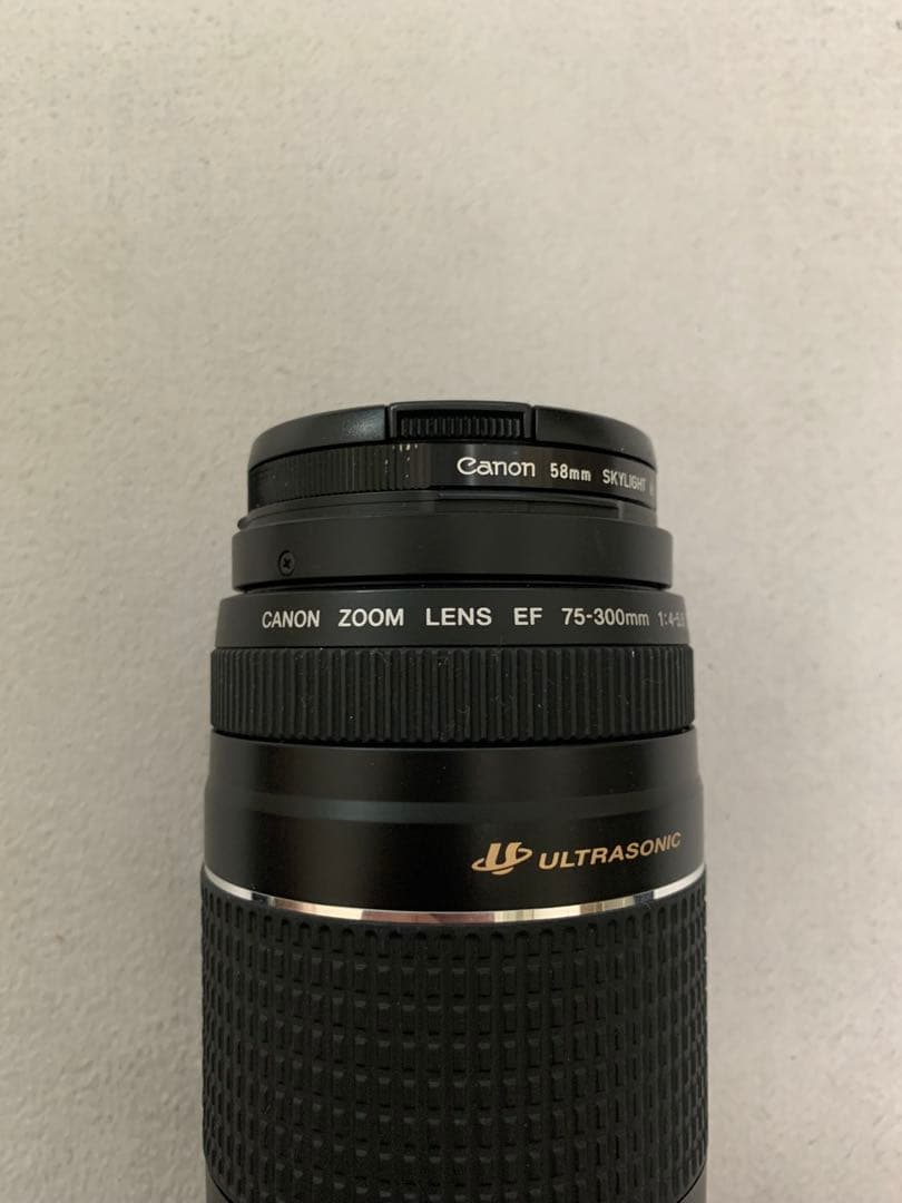 レンズ(ズーム) canon zoom LENS EF 75-300mm 4-5.6 3 USM