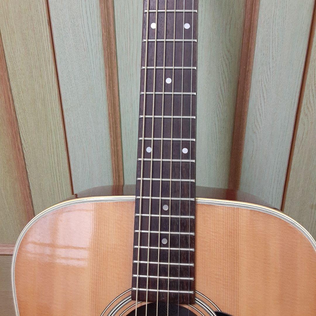 希少 タカミネ Montano アコースティックギター W180 ヴィンテージ